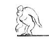 Dive Animation, click image to see animation