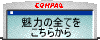 Compaq ad 2