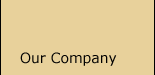 Our Company
