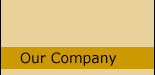 Our Company